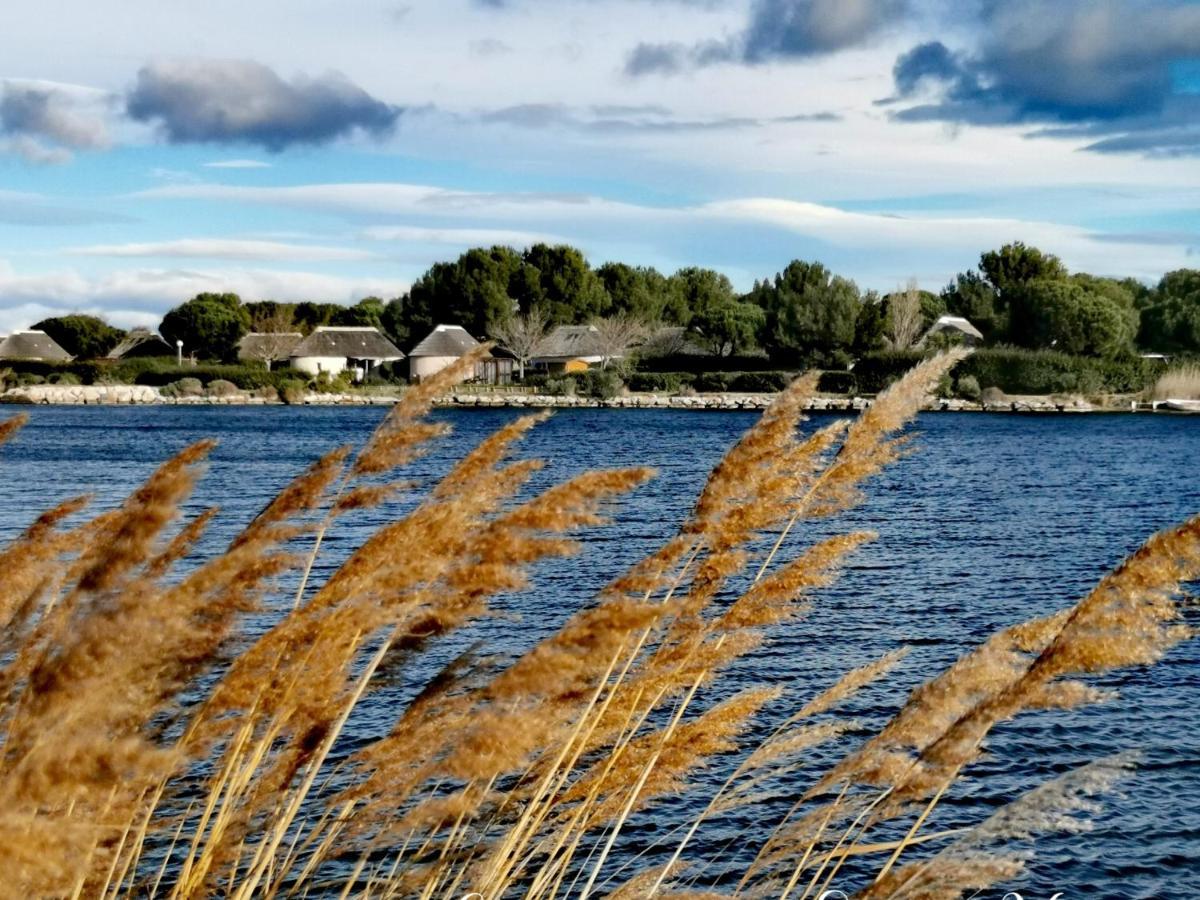 Appartement Marina Soleil Bleu - Vue sur le lac - Une chambre - Proche animations et commerces - Tout confort Le Barcarès Extérieur photo